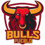 Pueblo Bulls